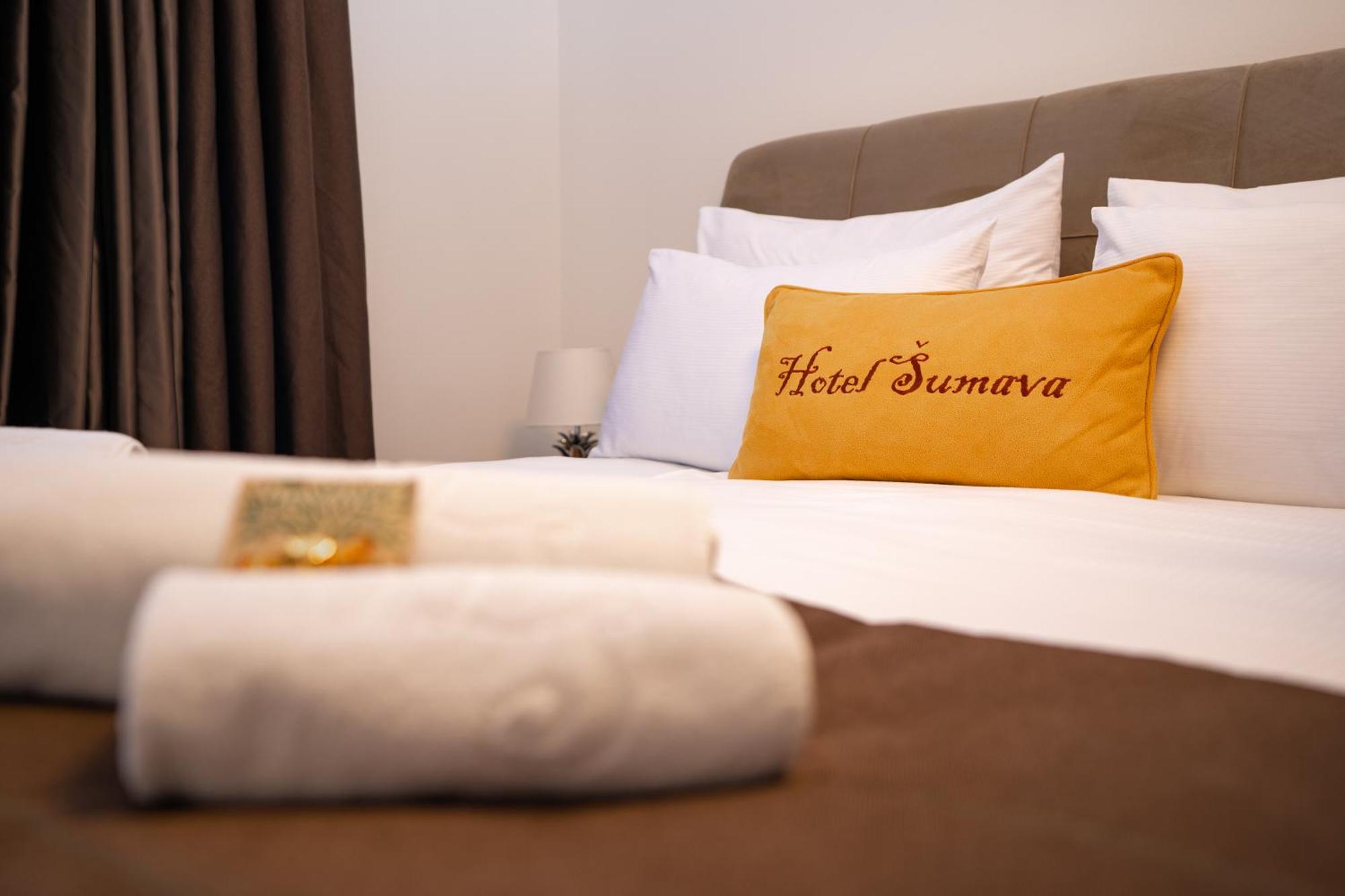 Železná Ruda Hotel Sumava מראה חיצוני תמונה