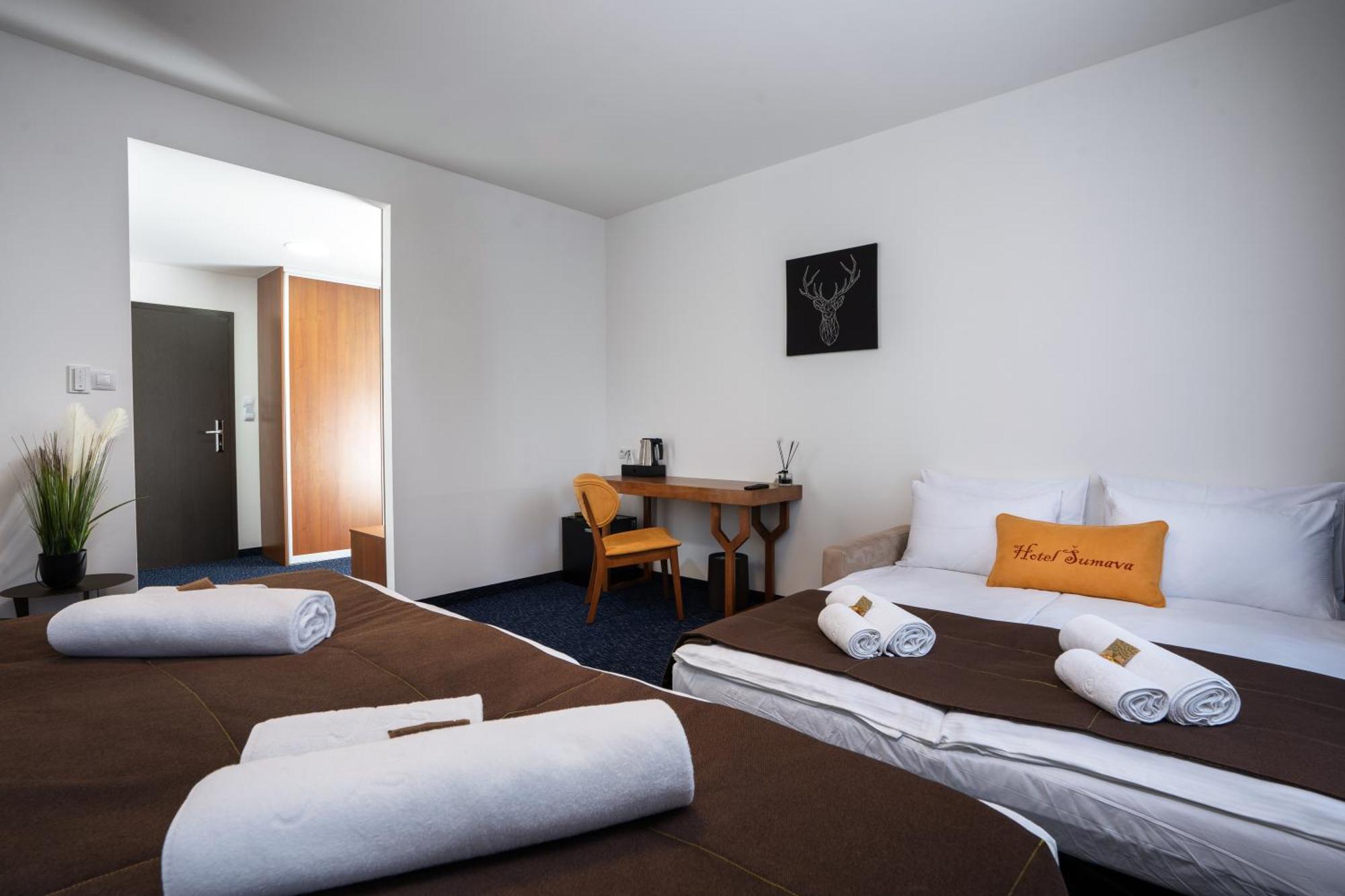 Železná Ruda Hotel Sumava מראה חיצוני תמונה